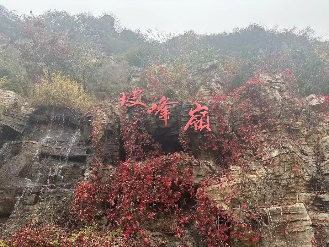 秋色迷人眼，红叶舞仙境—北京分公司团建活动